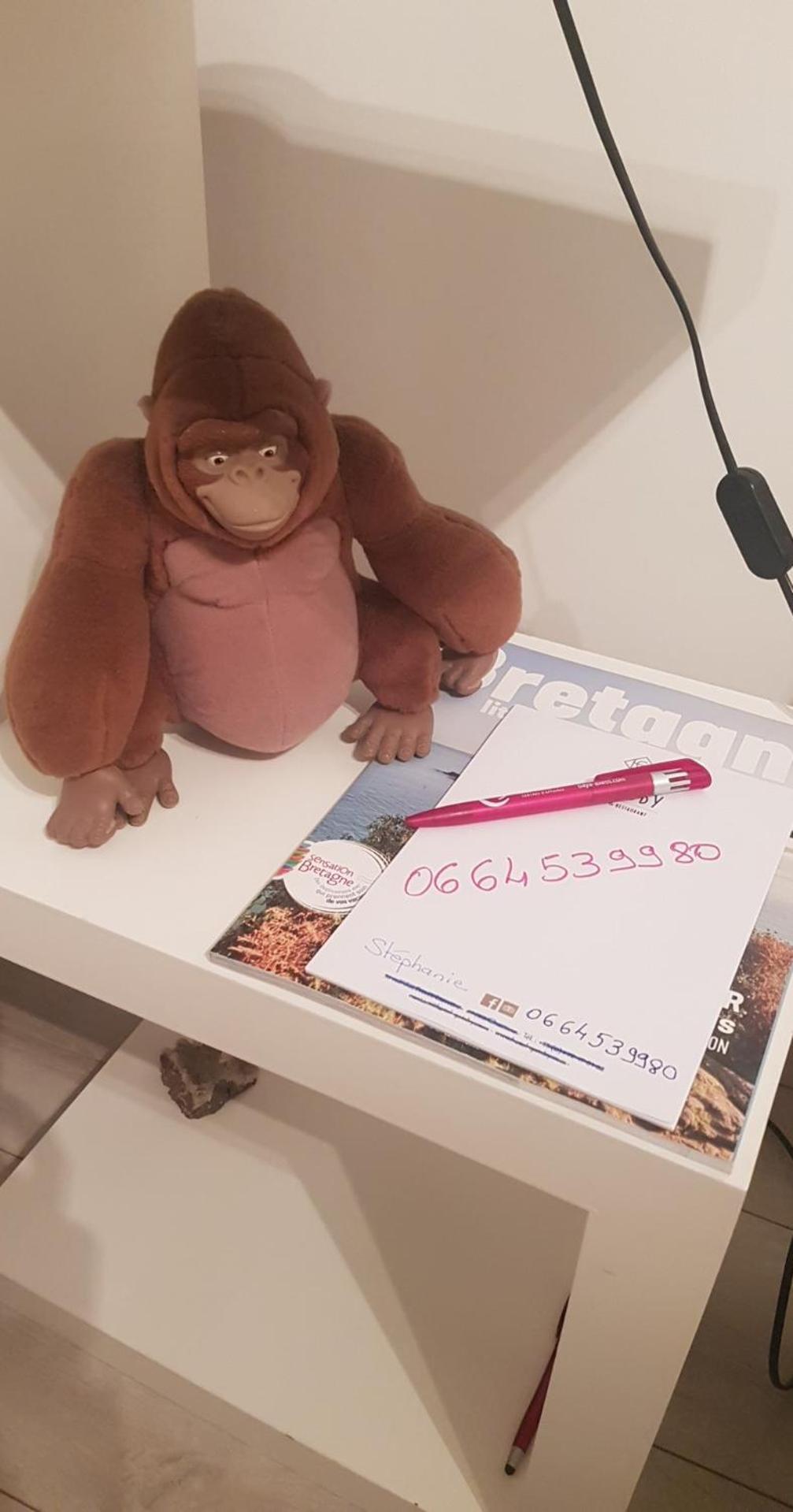 Chambre Celeste Tours Zewnętrze zdjęcie